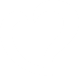 Coracao Disbravaflix